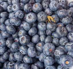 Closeup of blueberries at a local market