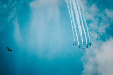 esquadrilha da fumaça