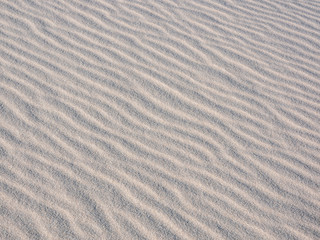 Sand Dune Detail