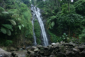 waterfall in the middle of the forest. waterfall 