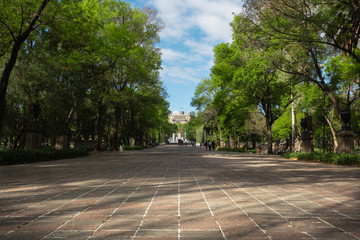 Fototapeta na wymiar Paisaje urbano camino al castillo del Bosque de Chapultepec