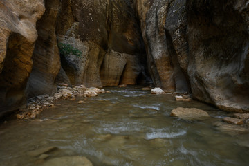 Virgin River Disappears into Slot Canyon