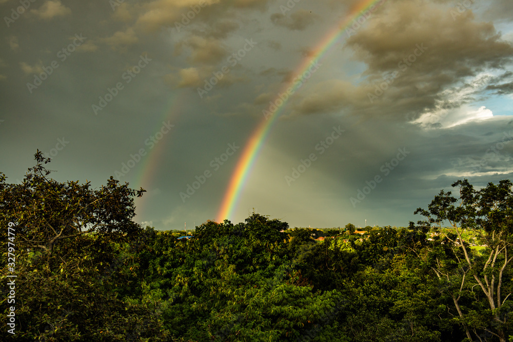 Canvas Prints Rainbow with tree foreground at Chiangmai province