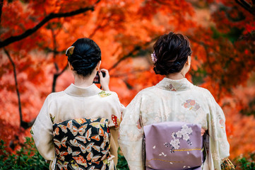 Obraz premium Young women wearing traditional Japanese Kimono with colorful maple trees in autumn is famous in autumn color leaves and cherry blossom in spring, Kyoto, Japan.