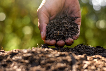 Loam in the hands of men for planting, soil texture background.