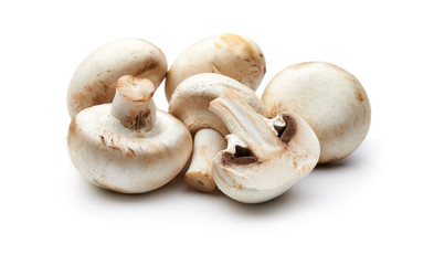 Mushroom Isolated on White Background