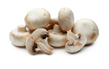 Mushroom Isolated on White Background