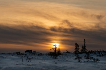 A bright orange sunset over snowy barren land. There are trees and shrubs in the distance with snow in the foreground. The sky is orange with thick clouds and an orange ball near the horizon. 