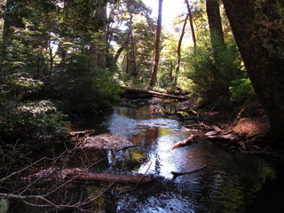 petrulafquen