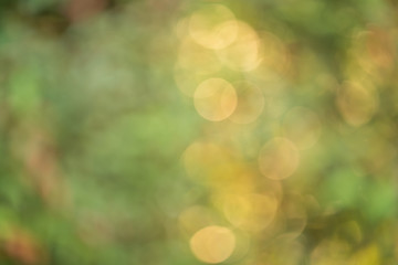 Orange spring nature bokeh background.