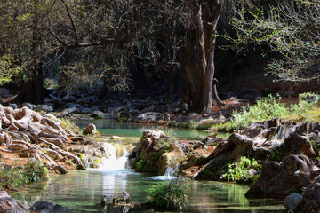 Una pequeña cascada de rio