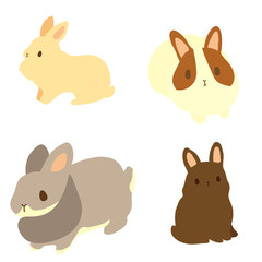 兎　セット