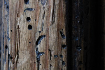 Ancient wood in the door