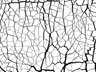 Obraz premium The cracks texture white and black. Vector background.Cracked earth. Structure of cracking. Cracks in dry surface soil texture. shards