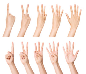 A set, group of hand gesture(number) isolated on white.