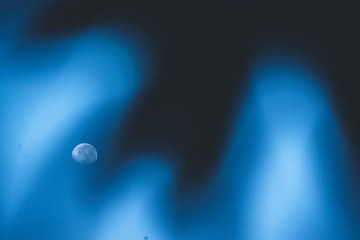 lua