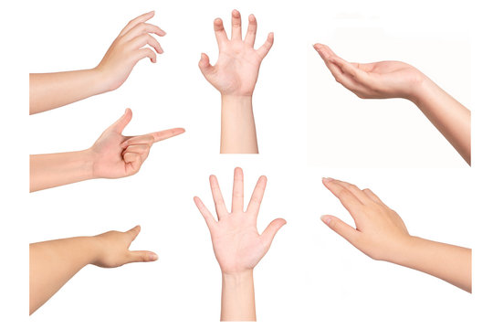 Set of woman hands gesturing isolated on white background.