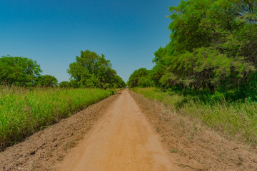 Fototapeta na wymiar Caminos Rurales con Arboledas - Castelli - Chaco - Argentina