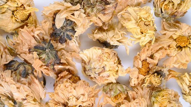 top view herb medicine JuHua or Chrysanthemi Flos or Florists Dendranthema rotate and pause