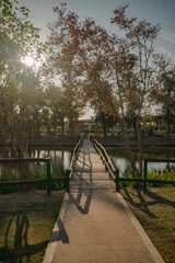 Pequeño Puente que atraviesa laguna, saens peña, chaco, argentina