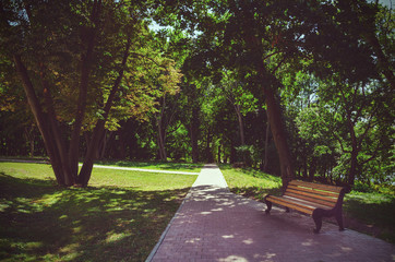 Landscape with bench in park