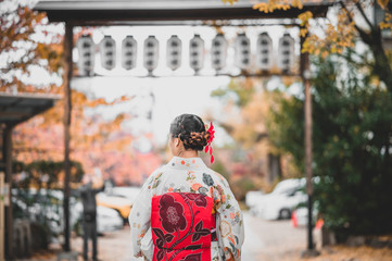 Fototapeta premium Young women wearing traditional Japanese Kimono with colorful maple trees in autumn is famous in autumn color leaves and cherry blossom in spring, Kyoto, Japan.