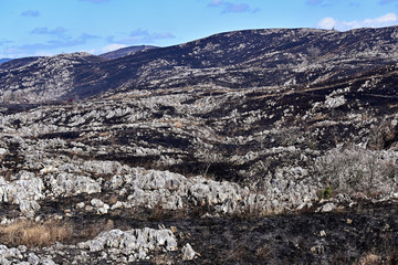 日本最大級のカルスト台地　秋吉台　山焼き