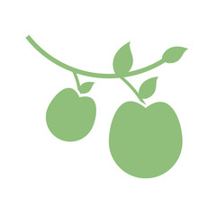 branch with apples icon, silhouette style