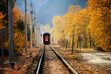 Passenger Train on countryside landscape in between colorful autumn leaves and trees in forest of Mersin, Turkey