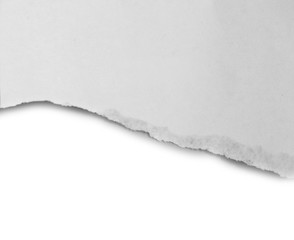 Fototapeta na wymiar ripped paper isolated on white background