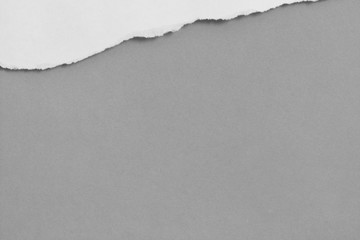 Old torn paper isolated on white background