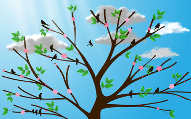 view of flower and leafs spring on the tree with cloud on the blue sky background