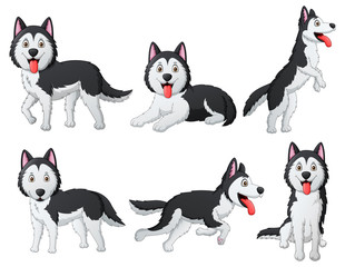 Set of funny siberian husky dog cartoon. Vector illustration © Ruangdesign19