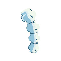 bones of the spine, body part on white background