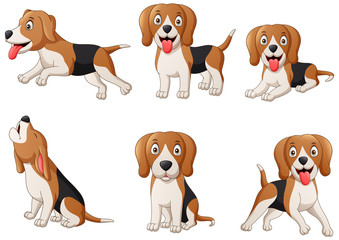 Set of beagle dog cartoon. Vector illustration