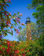 lighthouse through the trees © TS Images