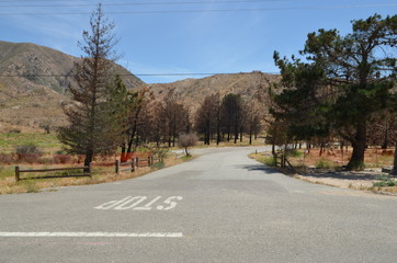A sandy desrt road accompanied by rocks, mountains, and desrt shrubbury.