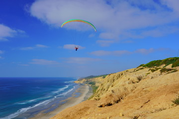 ブラックスビーチでパラグライダーをする人 / Paraglider on Blacks Beach	