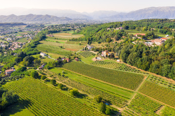 Fototapeta na wymiar Aerial view of the vineyard-covered hills of the northern Italian countryside in a late afternoon spring day