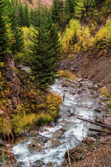 Fototapeta na wymiar Mountain river Chibitka, autumn forest. Altai Republic, Russia