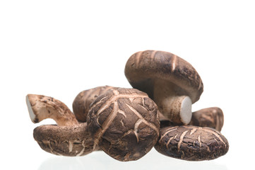 Shiitake mushrooms isolated on the white background.