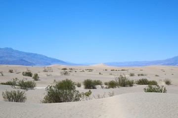 Fototapeta na wymiar Death Valley National Park, Nevada