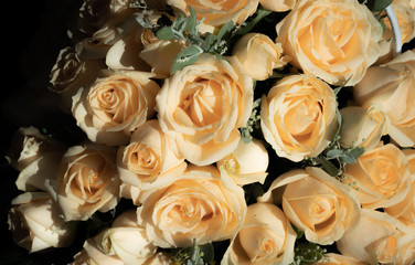 bouquet of roses