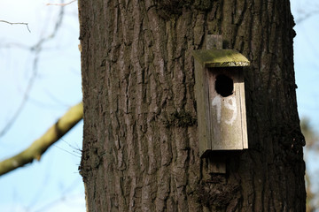Nistkasten an einem Baum