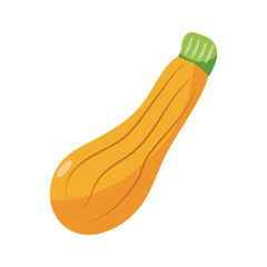 courgette icon, flat detail style