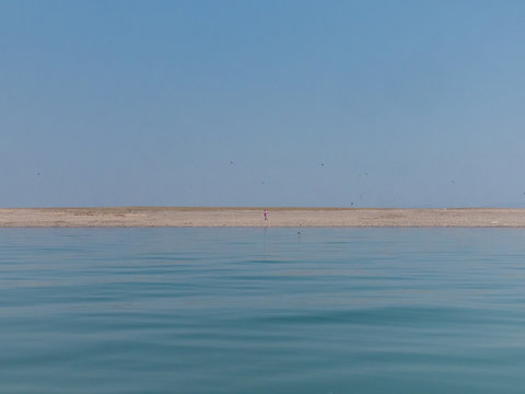 Man Standing in the distance alone with birds between the skies and water