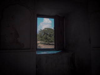View of a tree through the window