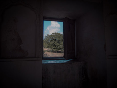 View of a tree through the window