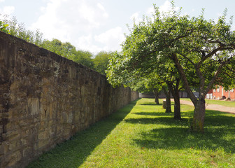 Colonial Grounds Tree Line Courtyard