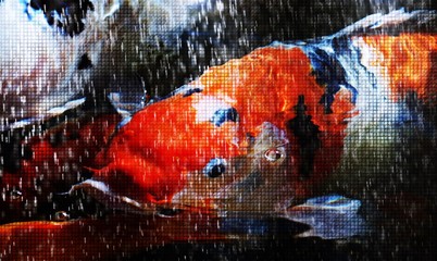 Close up of a red ornamental koi fish in a pond